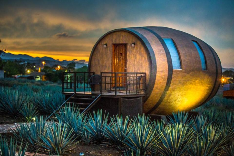  This is the barrel that occupies guests next to a Tequila distillery