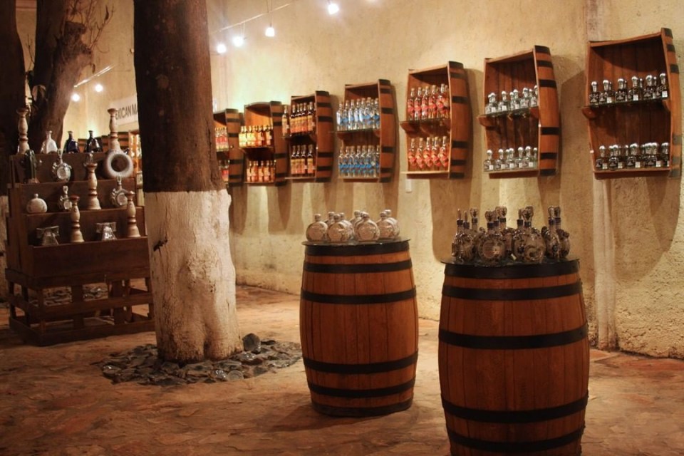  The hotel also offered Tequila distillery tours as part of the stay