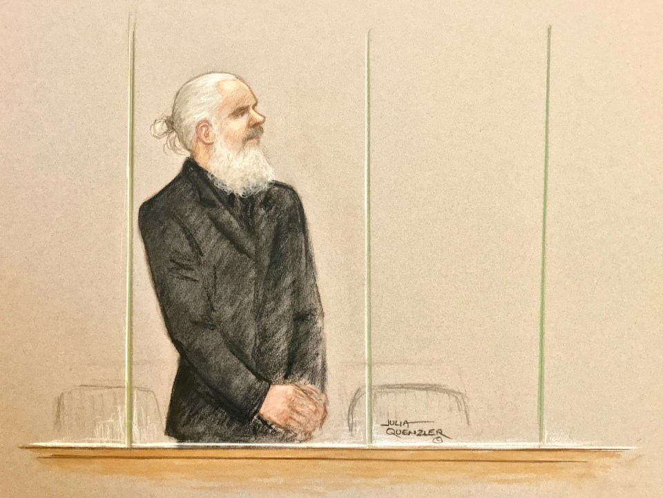  Assange pictured in court today wearing a black suit with his grey hair tied up