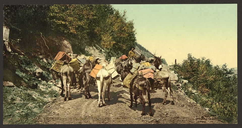 A pack train on a treacherous mountain road