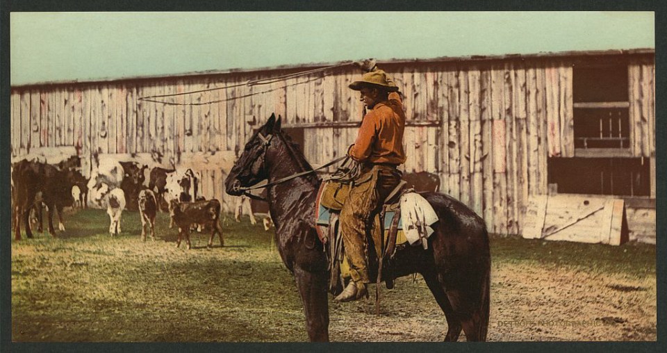 A talented cowboy swings his lasso