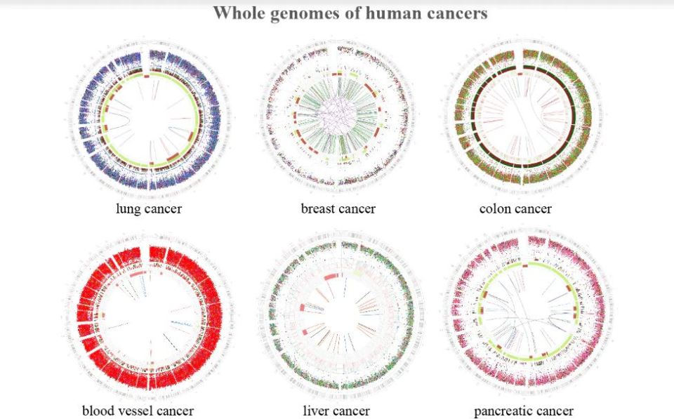  Each type of cancer has a distinct 'fingerprint'