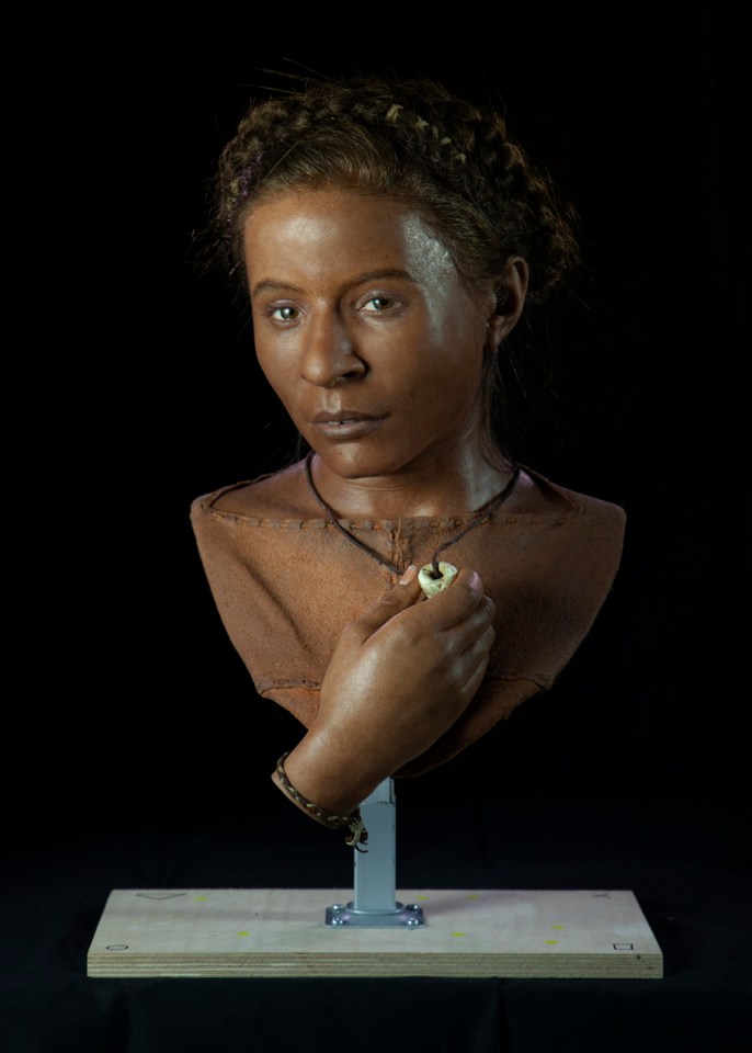  The Whitehawk Woman, a 5,600-year-old Neolithic woman found in Sussex, was reconstructed and is on show at the Royal Pavilion & Museum in Brighton