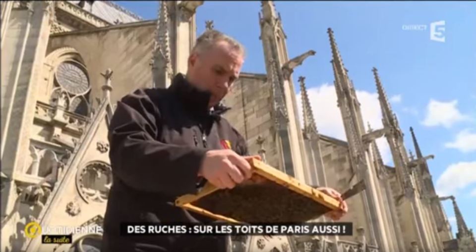  The hives survived the fire at the cathedral but the fate of the bees is not known