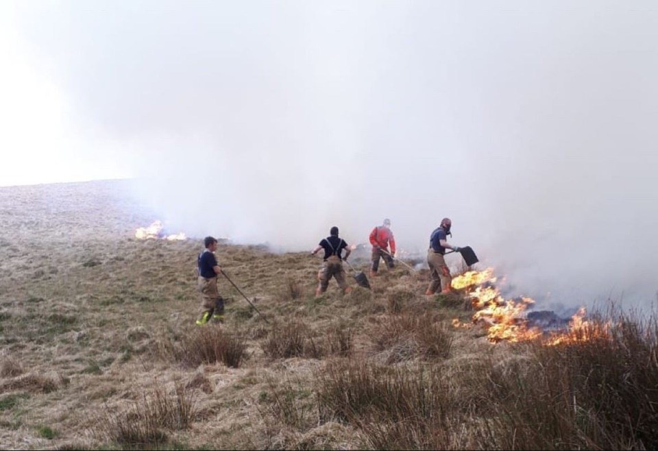  Fifteen acres of land have been gutted