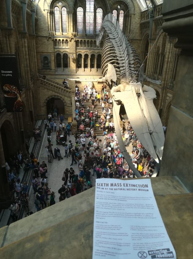  Hundreds of people gathered in the Natural History Museum this afternoon