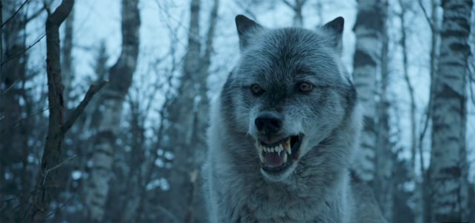  Game of Thrones's Jerome Flynn urged fans to stop buying large breed canines they could not cope with