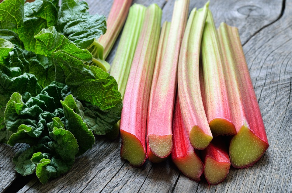  Rhubarb is not only great in traditional dishes - it makes for an excellent addition to savoury meals