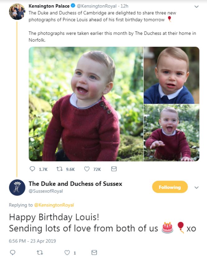  Meghan and Harry left a touching comment on Prince Louis' first birthday photo