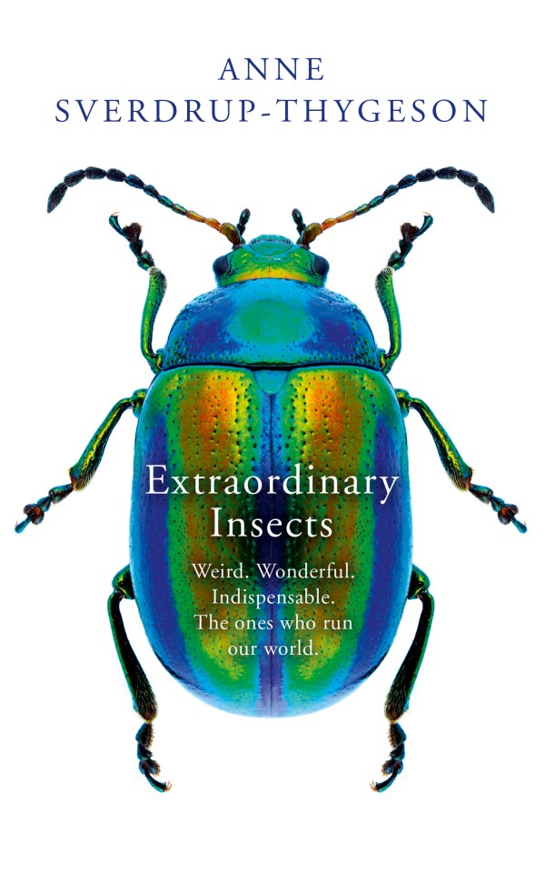  Anne's new book, Extraordinary Insects, is released on Thursday