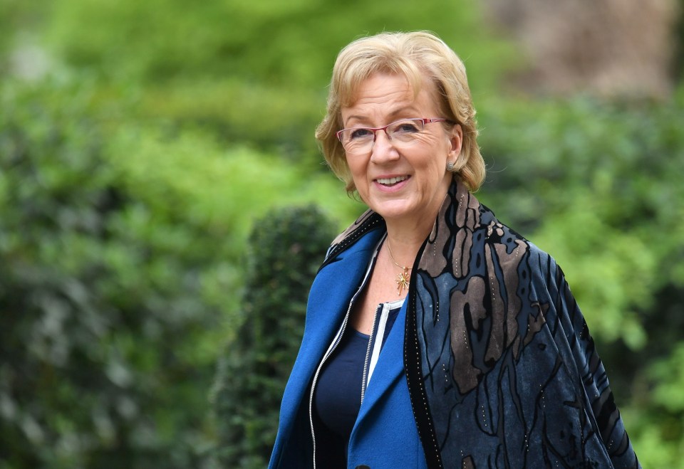 Andrea Leadsom is in charge of plans to renovate Parliament