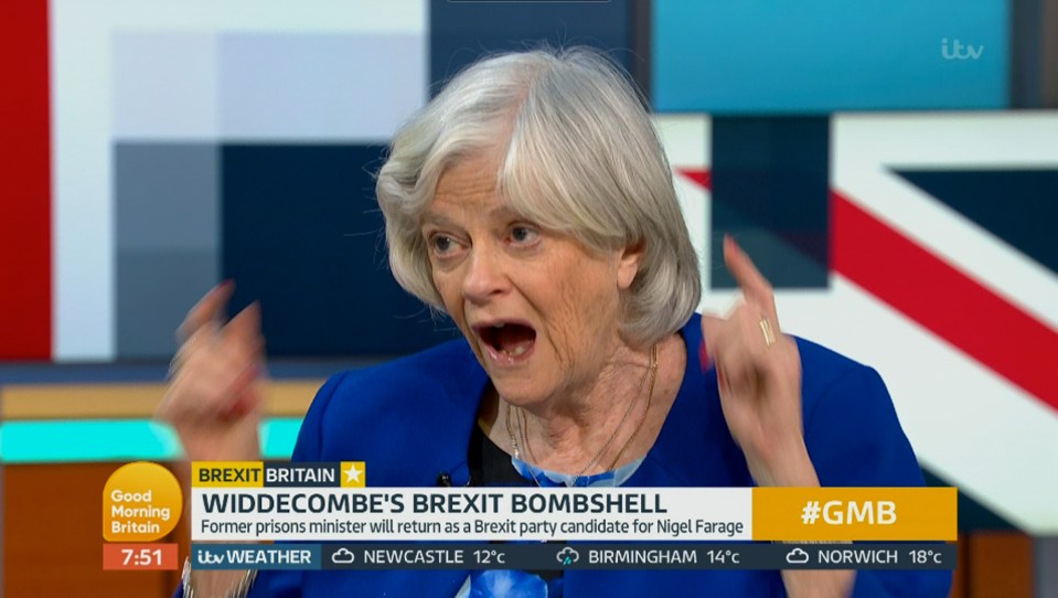  Ann Widdecombe has hit out at politicians for failing to deliver Brexit