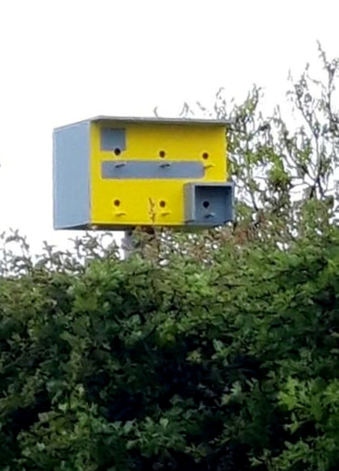  The bird box camera has perches for six flying residents