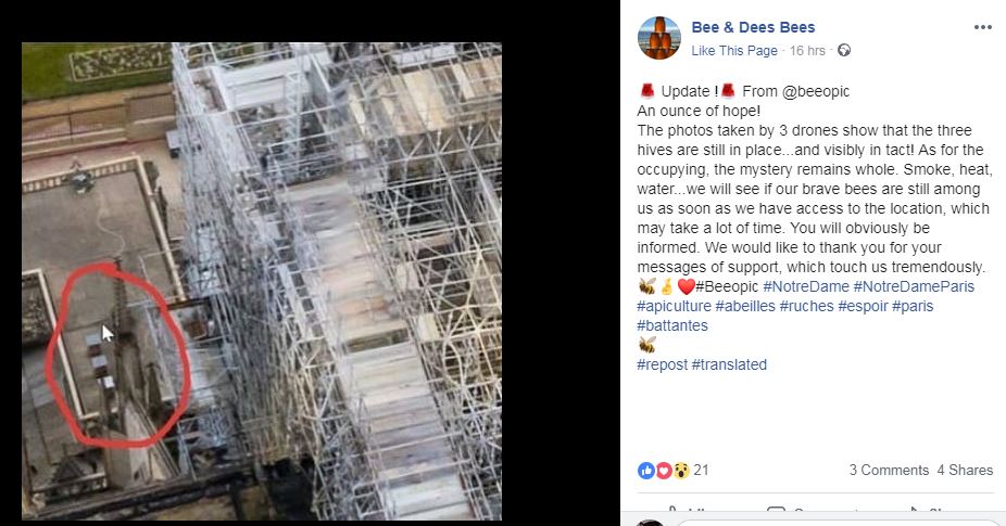 Drone footage confirmed the hives had survived the fire