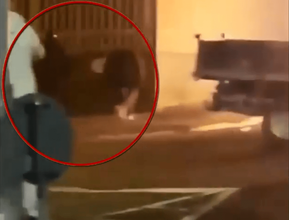  Footage appears to show the gunman