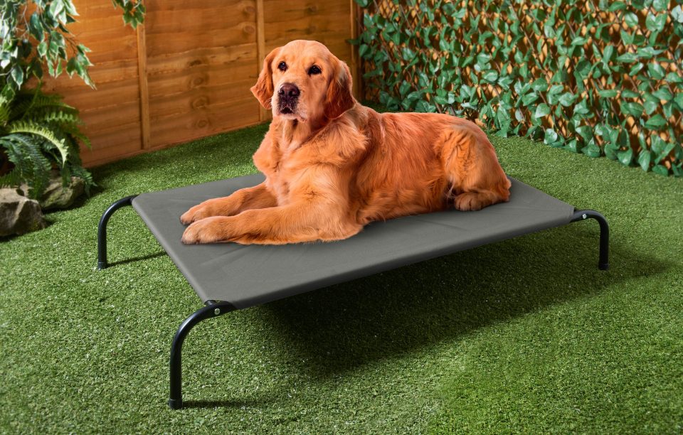 Dog bed B&M