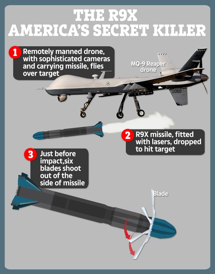  Armed with blades rather than explosives, the missile is designed to destroy anything in its path