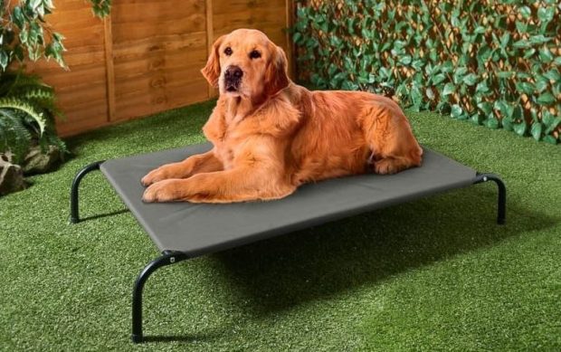 B&M garden lounger