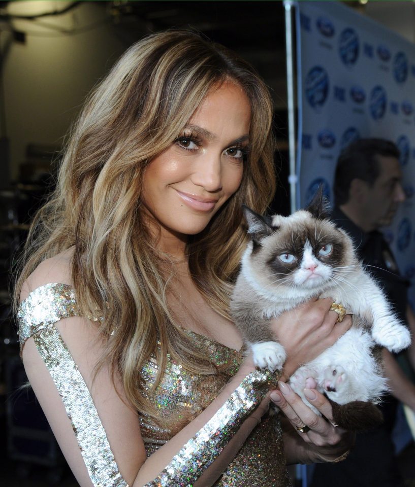  Grumpy cat rubbed shoulders with Hollywood A-listers including Jennifer Lopez during her short but glittering career