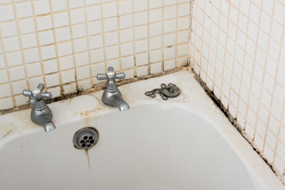 Mould found in bathrooms can release spores which can lead to respiratory conditions