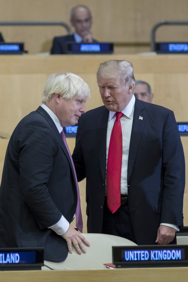  Trump has threatened to wade into the Tory leadership contest on his visit to Britain next week by revealing he may see his 'friend' Boris Johnson