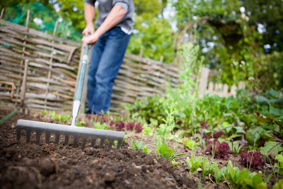  Is a new gardener needed to finish the job?