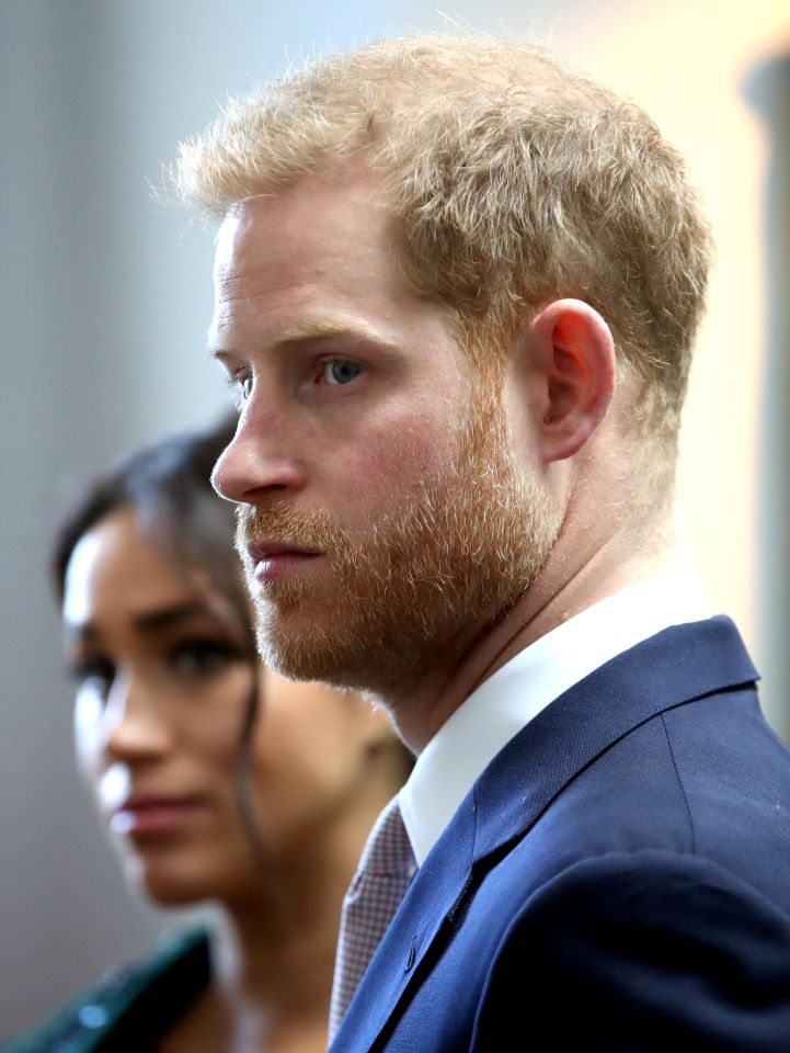  Prince Harry is said to be wary of public scrutiny due to Princess Diana