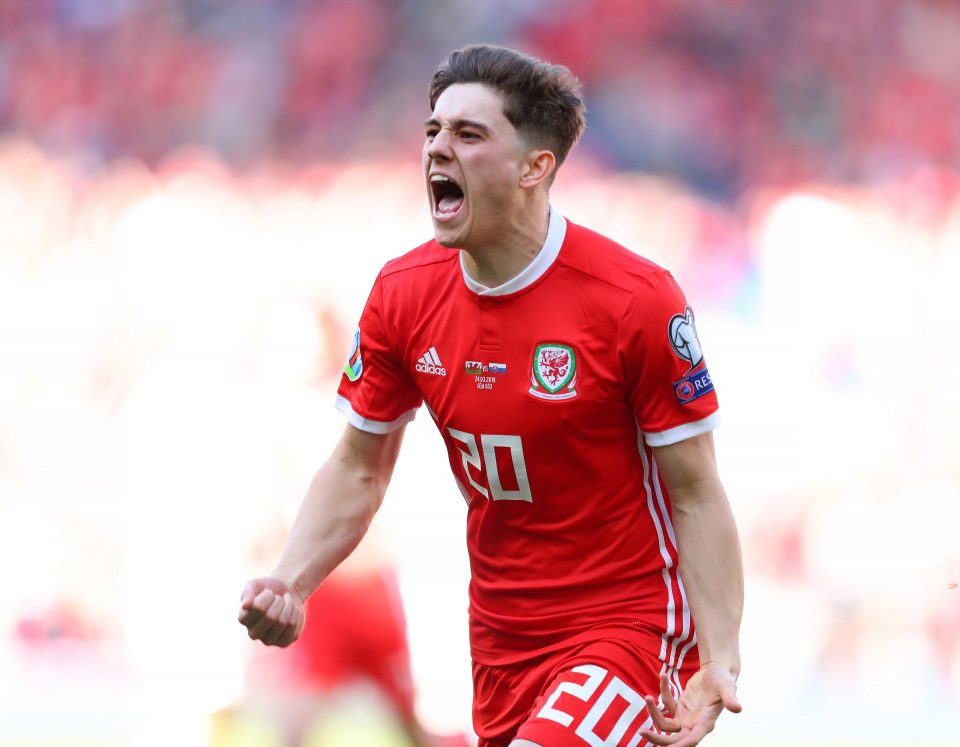  James celebrates scoring for Wales against Slovakia in only his second appearance