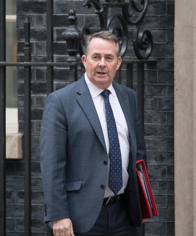  Liam Fox backs the PM's plan to offer Jeremy Corbyn a temporary customs union