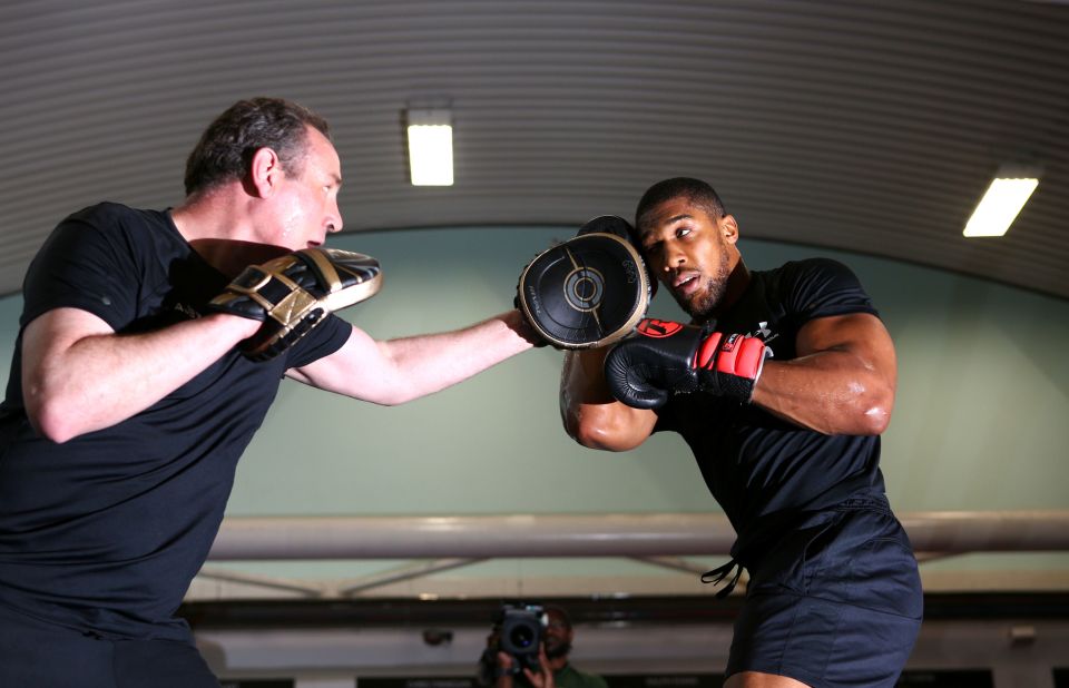  Anthony Joshua says he is happy fighting anyone after Jarrell Miller scrap was cancelled