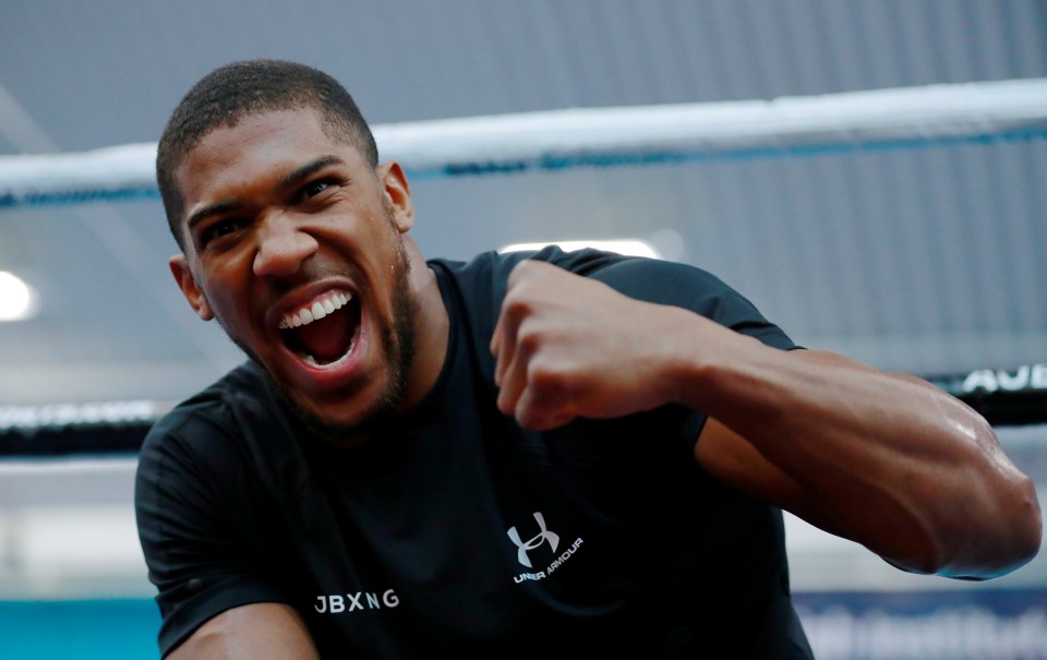  World champion Anthony Joshua at an open training day in Sheffield