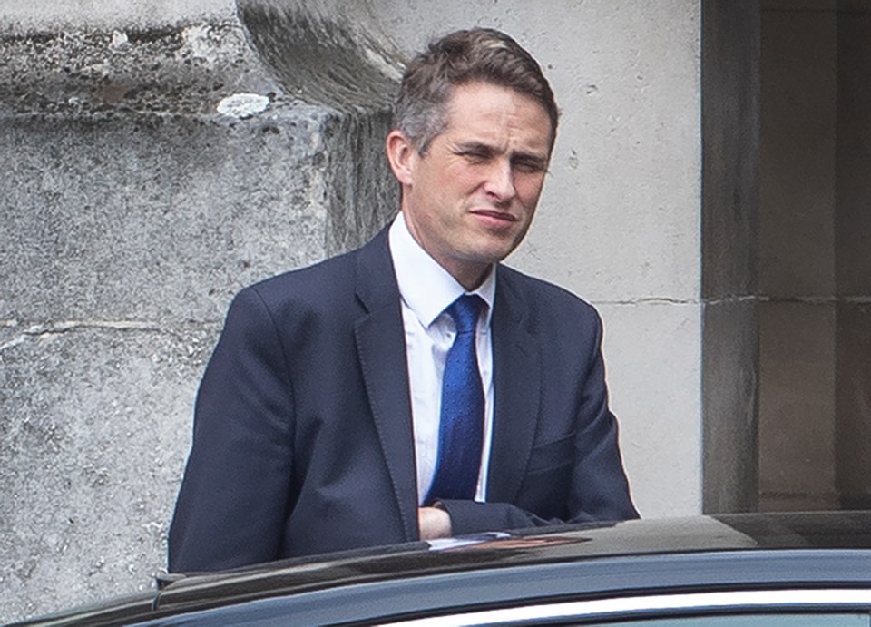  Gavin Williamson was sacked over a leak of spy secrets