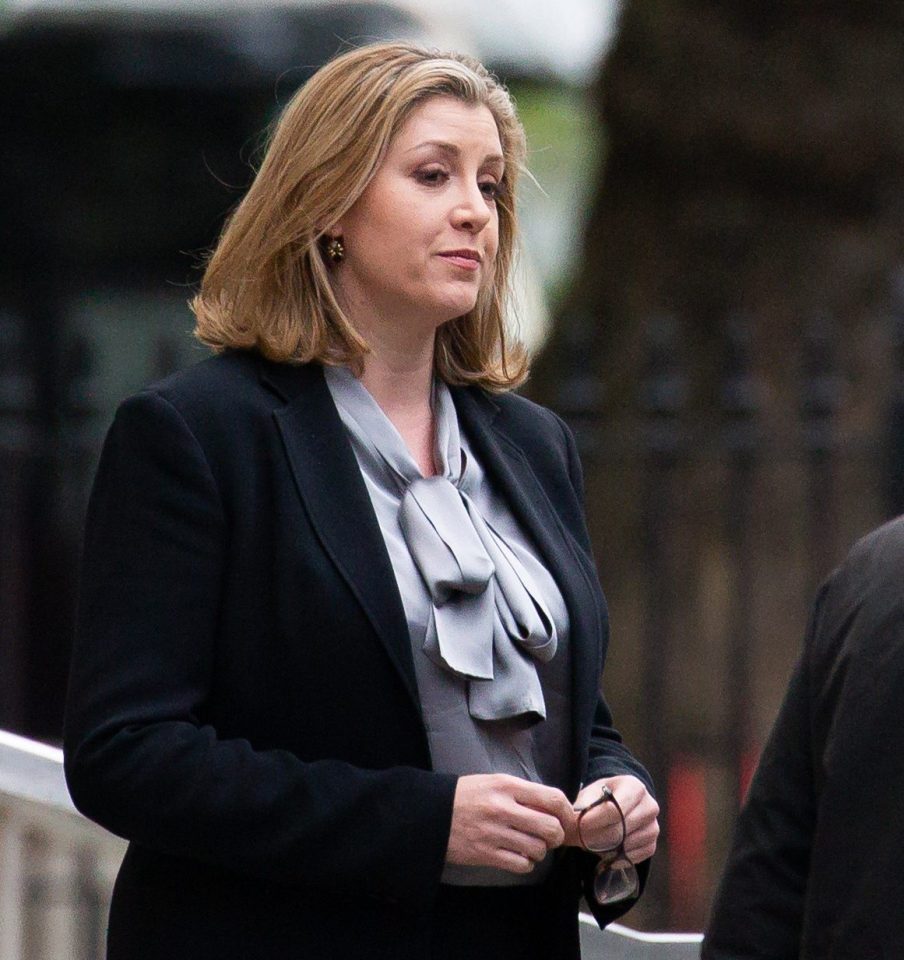  Penny Mordaunt is the new boss at the Ministry of Defence