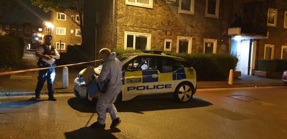  A forensics officer at the scene of the fatal stabbing of a 15-year-old boy last night