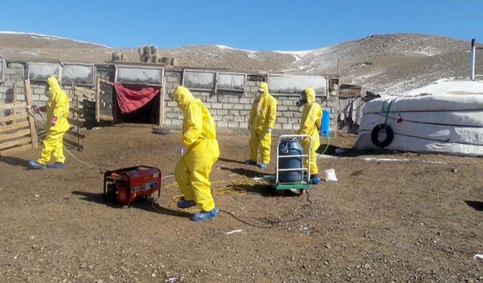  Officials are seen in Mongolia attempting to control the potential spread of the plague