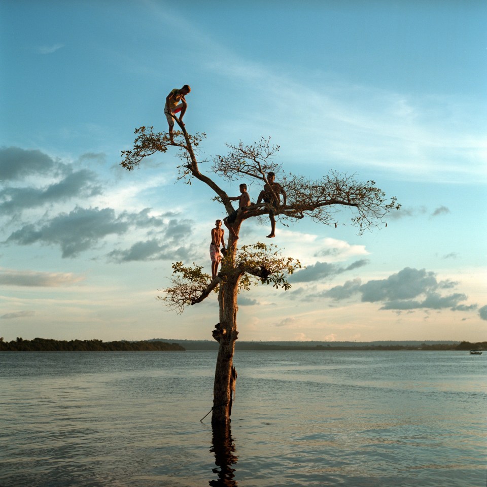  The local boys climb a solo tree that would have once been one of hundreds but now is alone and surrounded by water