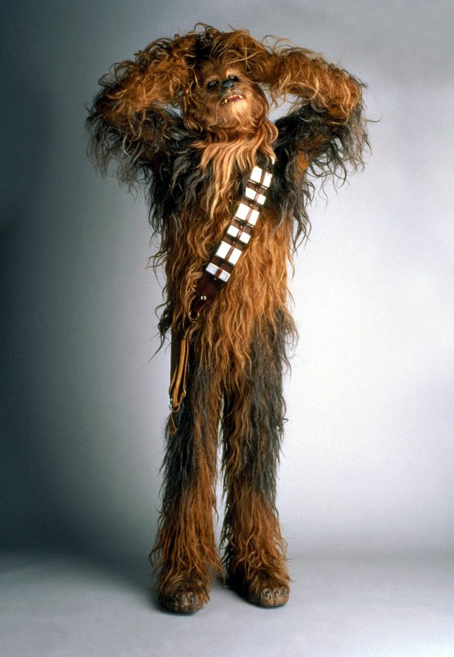  Peter Mayhew in his Chewbacca costume for Star Wars Episode IV: A New Hope in  1977