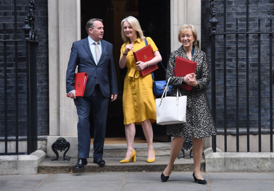  Mrs Leadsom with other Cabinet ministers outside No10 yesterday