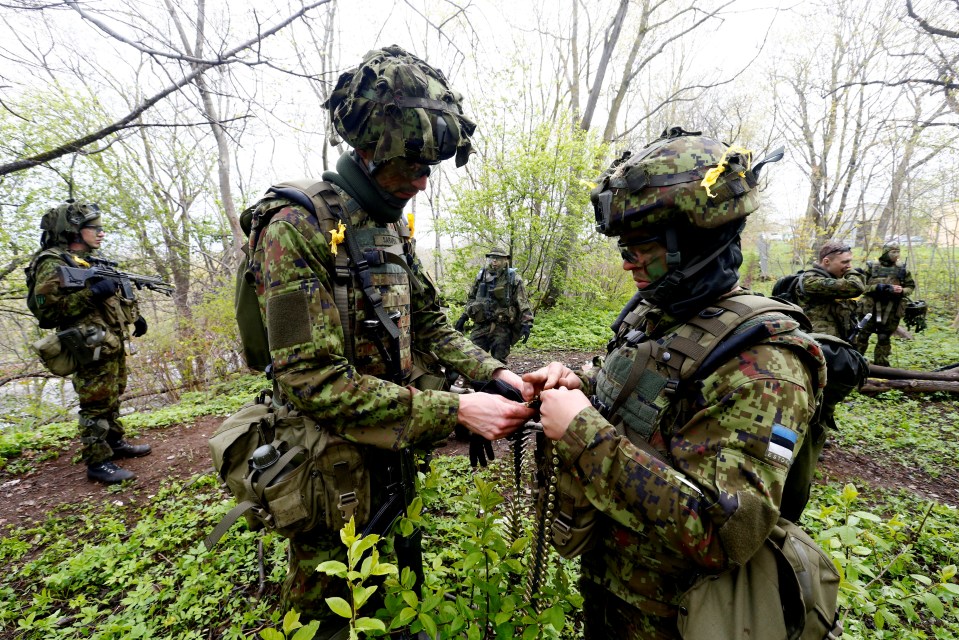 Estonian troops get ready for a live-firing exercise