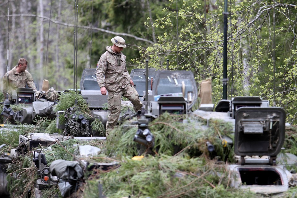 British soldiers and Warrior armoured vehicles, pictured, are taking part in the huge exercise