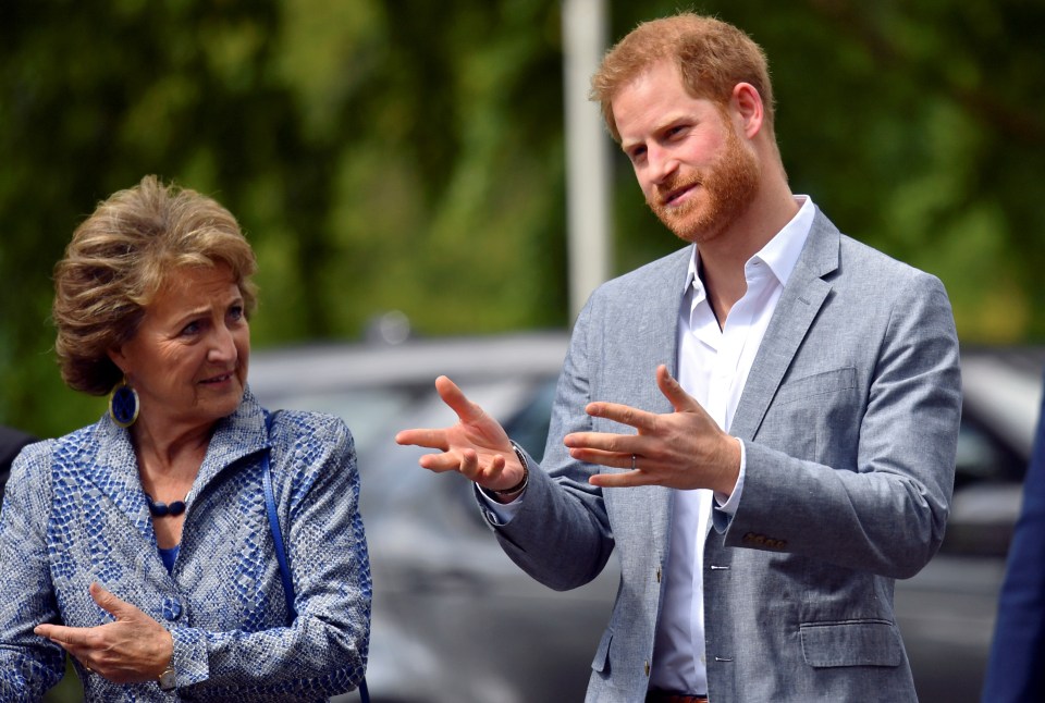  The 34-year-old seemed full of energy as he chatted to Princess Margriet