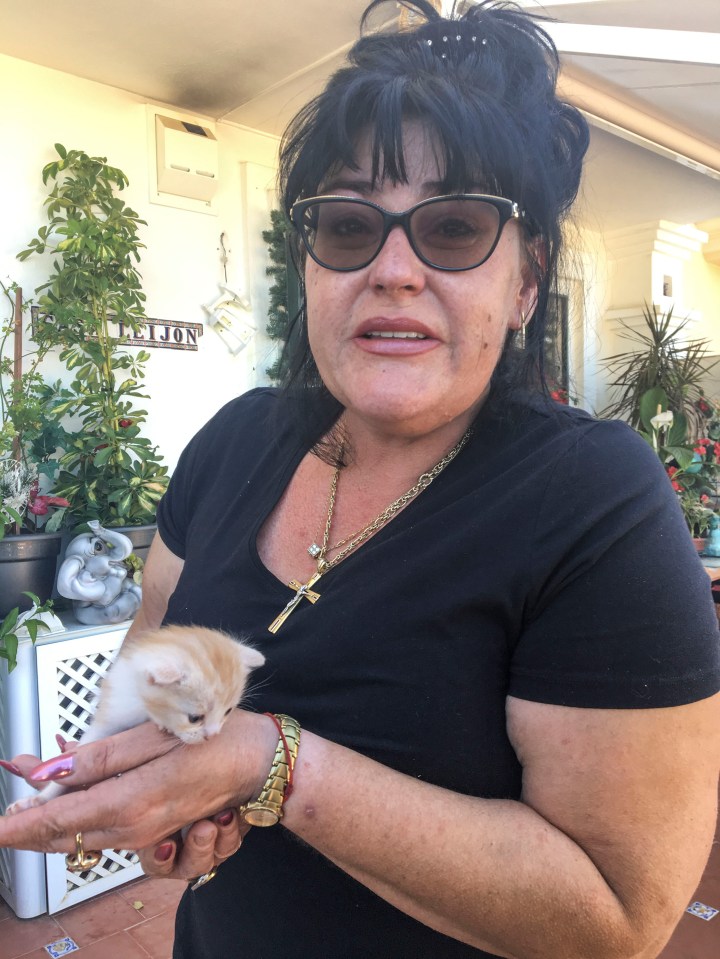  Nelly Georgieva fears she may lose the home she and the kitten shared with Freddie