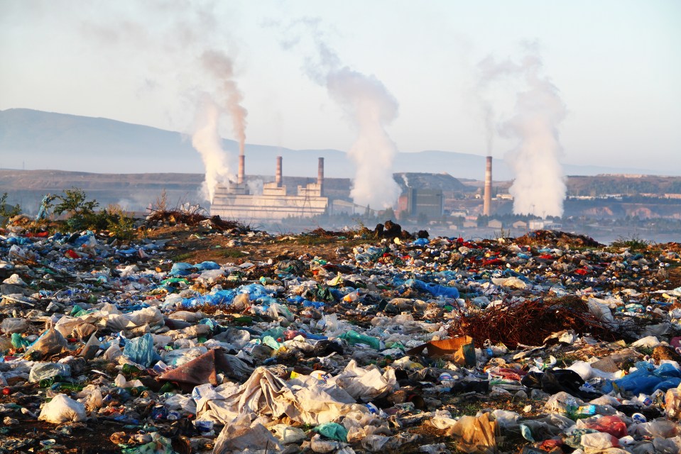  Local authorities would reward those who send the least waste to landfill sites and could plan more cost effective rubbish collections by knowing how much they have to pick up