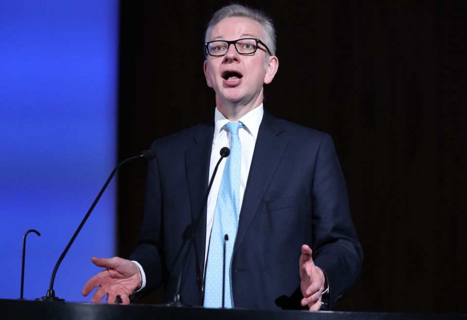  Michael Gove has thrown his full support behind May's Brexit plan