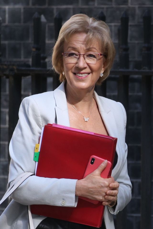  Andrea Leadsom has said 'we’ve got to get on with Brexit'