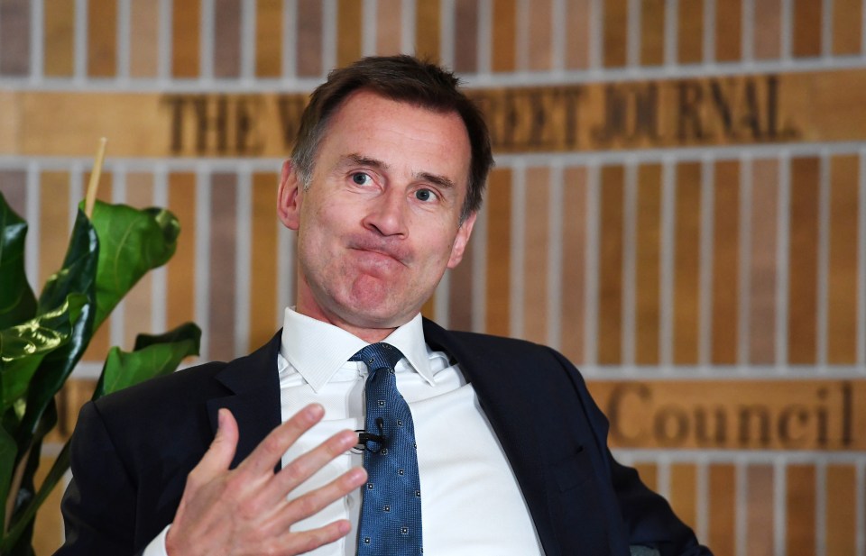  Mr Hunt struggled to give an answer when asked why people should vote Tory in next week’s European elections