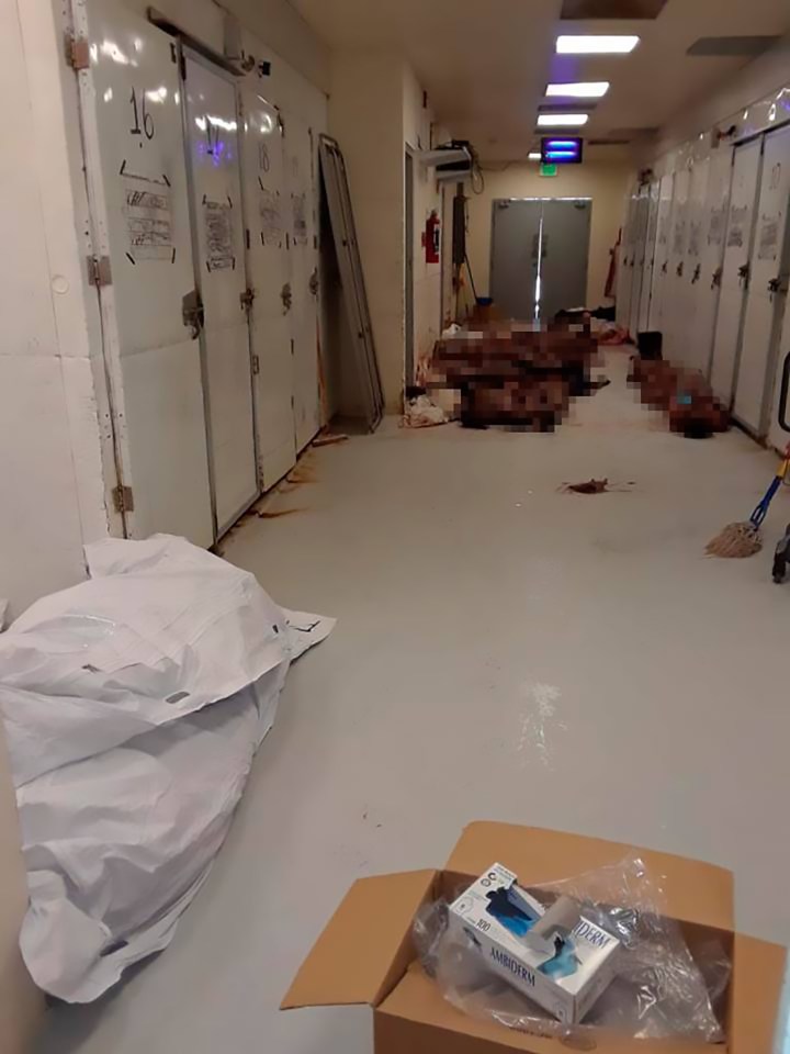  The facility received 190 bodies and was forced to leave some stacked in hallways in horrifying images