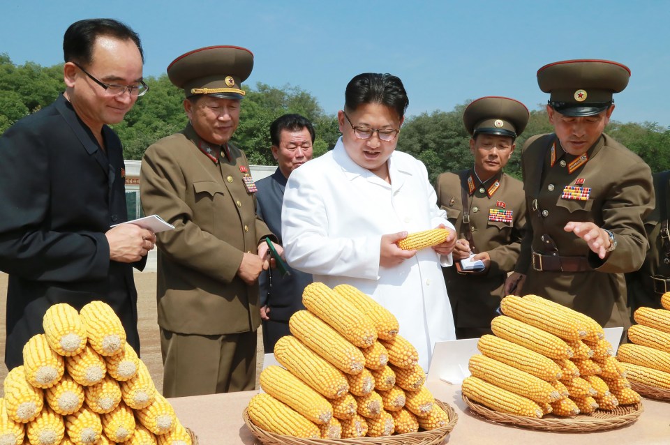  Kim Jong-un inspecting crops in September 2016