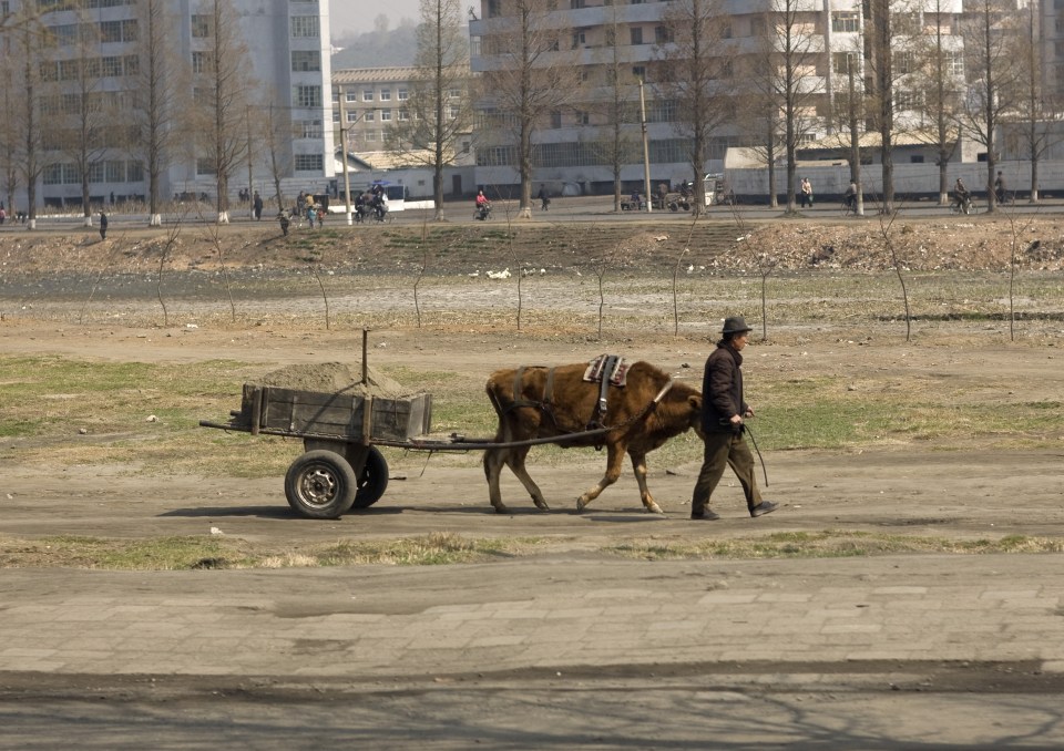  North Korea is currently in one its worst droughts in almost 40 years