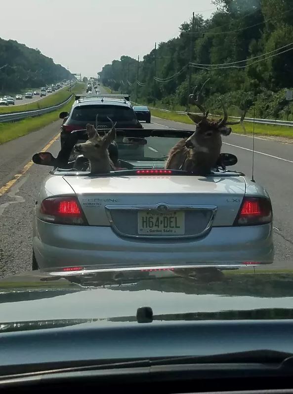 We hope they’re wearing their seat belts